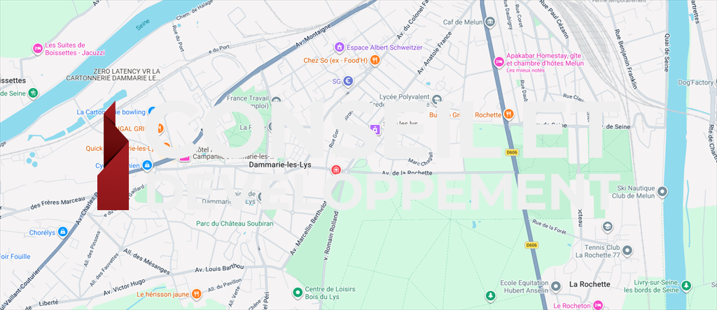 commerce en location sur DAMMARIE LES LYS (77190)